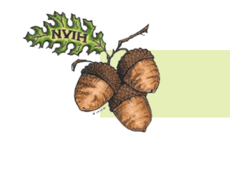 NVIH