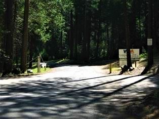 Document (2) Opens in new window